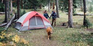 Couple and dog outside camping tent