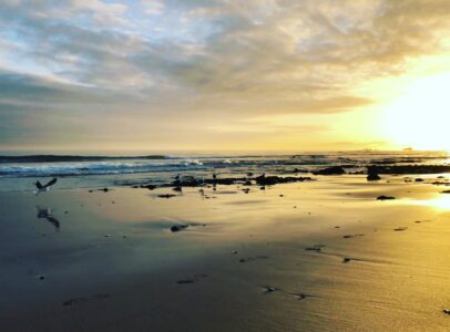 6 am Swim in Port Elizabeth