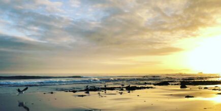 6 am Swim in Port Elizabeth