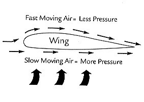 Bournelli Principle